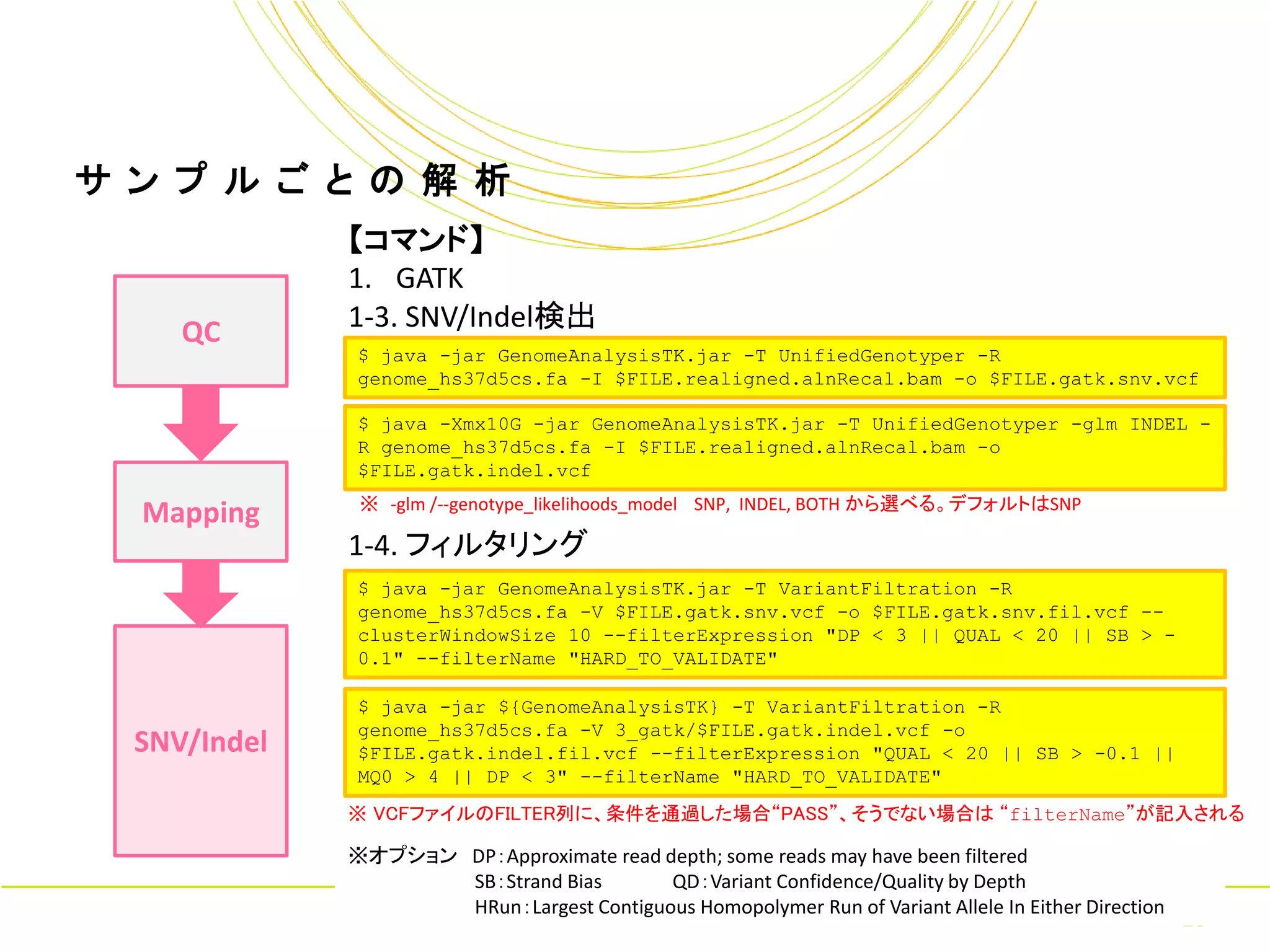 サ ン プ ル ご と の 解 析
              【コマンド】
              1. GATK
     QC       1-3. SNV/Indel検出
               $ java -jar GenomeAnalysisTK.jar -T UnifiedGenotyper -R
               genome_hs37d5cs.fa -I $FILE.realigned.alnRecal.bam -o $FILE.gatk.snv.vcf

               $ java -Xmx10G -jar GenomeAnalysisTK.jar -T UnifiedGenotyper -glm INDEL -
               R genome_hs37d5cs.fa -I $FILE.realigned.alnRecal.bam -o
               $FILE.gatk.indel.vcf
               ※ -glm /--genotype_likelihoods_model SNP, INDEL, BOTH から選べる。デフォルトはSNP
  Mapping
              1-4. フィルタリング
               $ java -jar GenomeAnalysisTK.jar -T VariantFiltration -R
               genome_hs37d5cs.fa -V $FILE.gatk.snv.vcf -o $FILE.gatk.snv.fil.vcf --
               clusterWindowSize 10 --filterExpression "DP < 3 || QUAL < 20 || SB > -
               0.1" --filterName "HARD_TO_VALIDATE"

               $ java -jar ${GenomeAnalysisTK} -T VariantFiltration -R
               genome_hs37d5cs.fa -V 3_gatk/$FILE.gatk.indel.vcf -o
  SNV/Indel    $FILE.gatk.indel.fil.vcf --filterExpression "QUAL < 20 || SB > -0.1 ||
               MQ0 > 4 || DP < 3" --filterName "HARD_TO_VALIDATE"
              ※ VCFファイルのFILTER列に、条件を通過した場合“PASS”、そうでない場合は “filterName”が記入される

              ※オプション DP：Approximate read depth; some reads may have been filtered
                     SB：Strand Bias                QD：Variant Confidence/Quality by Depth
                     HRun：Largest Contiguous Homopolymer Run of Variant Allele In Either Direction
                     Copyright © Amelieff Co. Ltd. All Rights Reserved.
                                                                                                     16
 