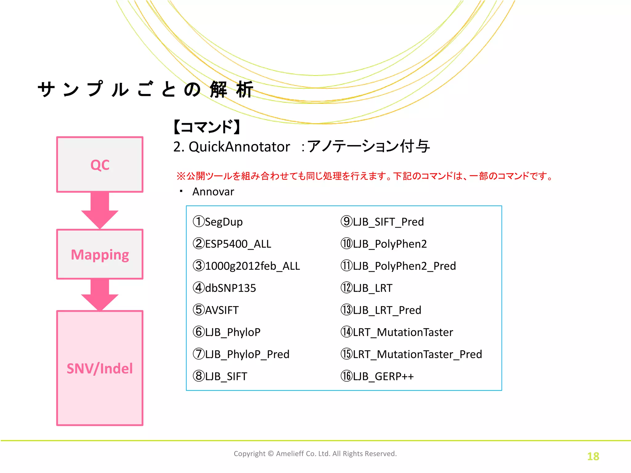 サ ン プ ル ご と の 解 析
              【コマンド】
              2. QuickAnnotator ：アノテーション付与
     QC
              ※公開ツールを組み合わせても同じ処理を行えます。下記のコマンドは、一部のコマンドです。
              ・ Annovar

                ①SegDup                               ⑨LJB_SIFT_Pred
                ②ESP5400_ALL                          ⑩LJB_PolyPhen2
  Mapping
                ③1000g2012feb_ALL                     ⑪LJB_PolyPhen2_Pred
                ④dbSNP135                             ⑫LJB_LRT
                ⑤AVSIFT                               ⑬LJB_LRT_Pred
                ⑥LJB_PhyloP                           ⑭LRT_MutationTaster
                ⑦LJB_PhyloP_Pred                      ⑮LRT_MutationTaster_Pred
  SNV/Indel     ⑧LJB_SIFT                             ⑯LJB_GERP++




                      Copyright © Amelieff Co. Ltd. All Rights Reserved.
                                                                                 18
 