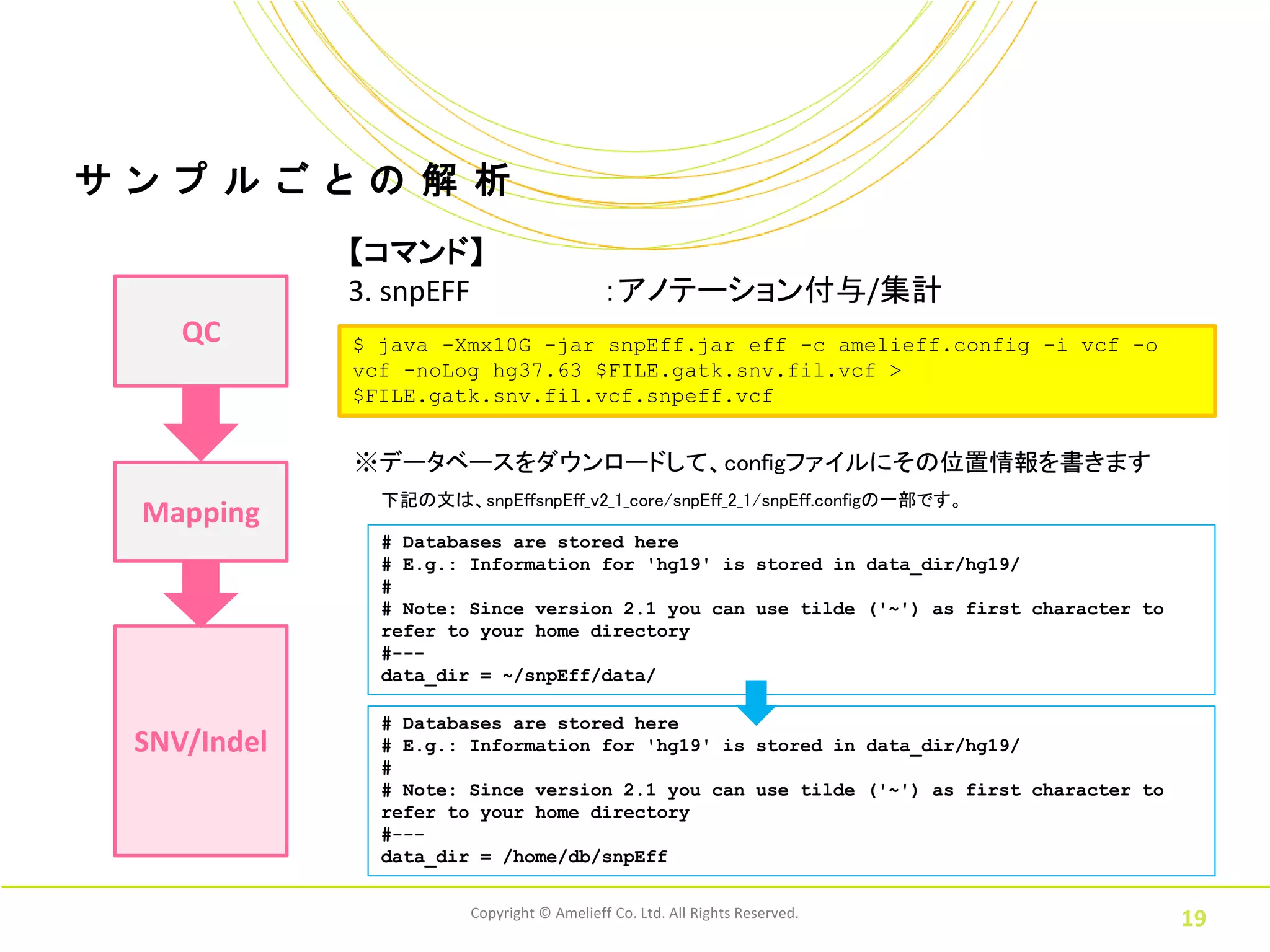 サ ン プ ル ご と の 解 析
              【コマンド】
              3. snpEFF                      ：アノテーション付与/集計
     QC       $ java -Xmx10G -jar snpEff.jar eff -c amelieff.config -i vcf -o
              vcf -noLog hg37.63 $FILE.gatk.snv.fil.vcf >
              $FILE.gatk.snv.fil.vcf.snpeff.vcf


              ※データベースをダウンロードして、configファイルにその位置情報を書きます
                下記の文は、snpEffsnpEff_v2_1_core/snpEff_2_1/snpEff.configの一部です。
  Mapping
                # Databases are stored here
                # E.g.: Information for 'hg19' is stored in data_dir/hg19/
                #
                # Note: Since version 2.1 you can use tilde ('~') as first character to
                refer to your home directory
                #---
                data_dir = ~/snpEff/data/

                # Databases are stored here
  SNV/Indel     # E.g.: Information for 'hg19' is stored in data_dir/hg19/
                #
                # Note: Since version 2.1 you can use tilde ('~') as first character to
                refer to your home directory
                #---
                data_dir = /home/db/snpEff

                         Copyright © Amelieff Co. Ltd. All Rights Reserved.
                                                                                          19
 