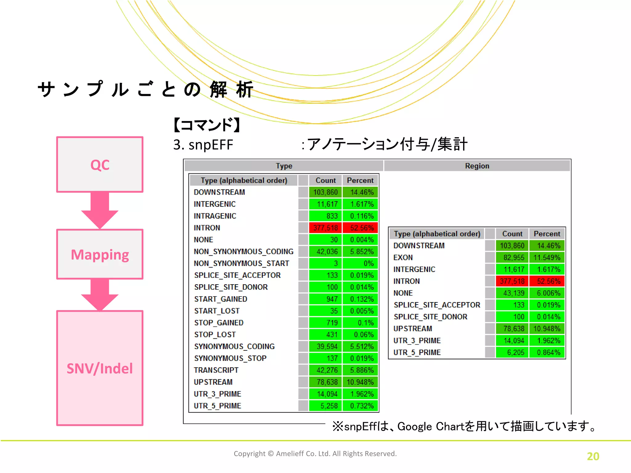 サ ン プ ル ご と の 解 析
              【コマンド】
              3. snpEFF                   ：アノテーション付与/集計
     QC




  Mapping




  SNV/Indel


                                                    ※snpEffは、Google Chartを用いて描画しています。

                      Copyright © Amelieff Co. Ltd. All Rights Reserved.
                                                                                   20
 