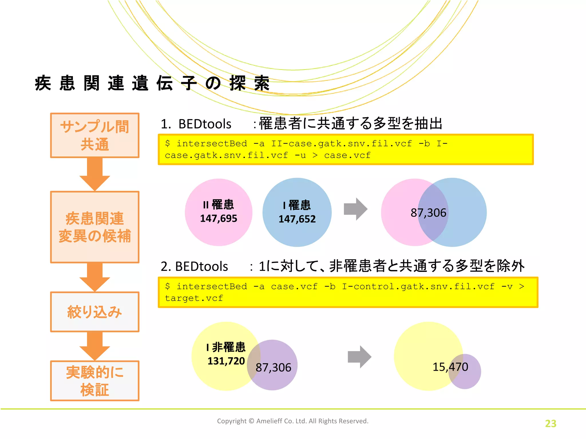 疾 患 関 連 遺 伝 子 の 探 索

  サンプル間   1. BEDtools         ：罹患者に共通する多型を抽出
   共通     $ intersectBed -a II-case.gatk.snv.fil.vcf -b I-
          case.gatk.snv.fil.vcf -u > case.vcf




                 II 罹患                  I 罹患
                                                                        87,306
 疾患関連           147,695                147,652
 変異の候補

          2. BEDtools        ： 1に対して、非罹患者と共通する多型を除外
          $ intersectBed -a case.vcf -b I-control.gatk.snv.fil.vcf -v >
          target.vcf
  絞り込み

                 I 非罹患
                 131,720
  実験的に                         87,306                                      15,470
   検証
                   Copyright © Amelieff Co. Ltd. All Rights Reserved.
                                                                                    23
 
