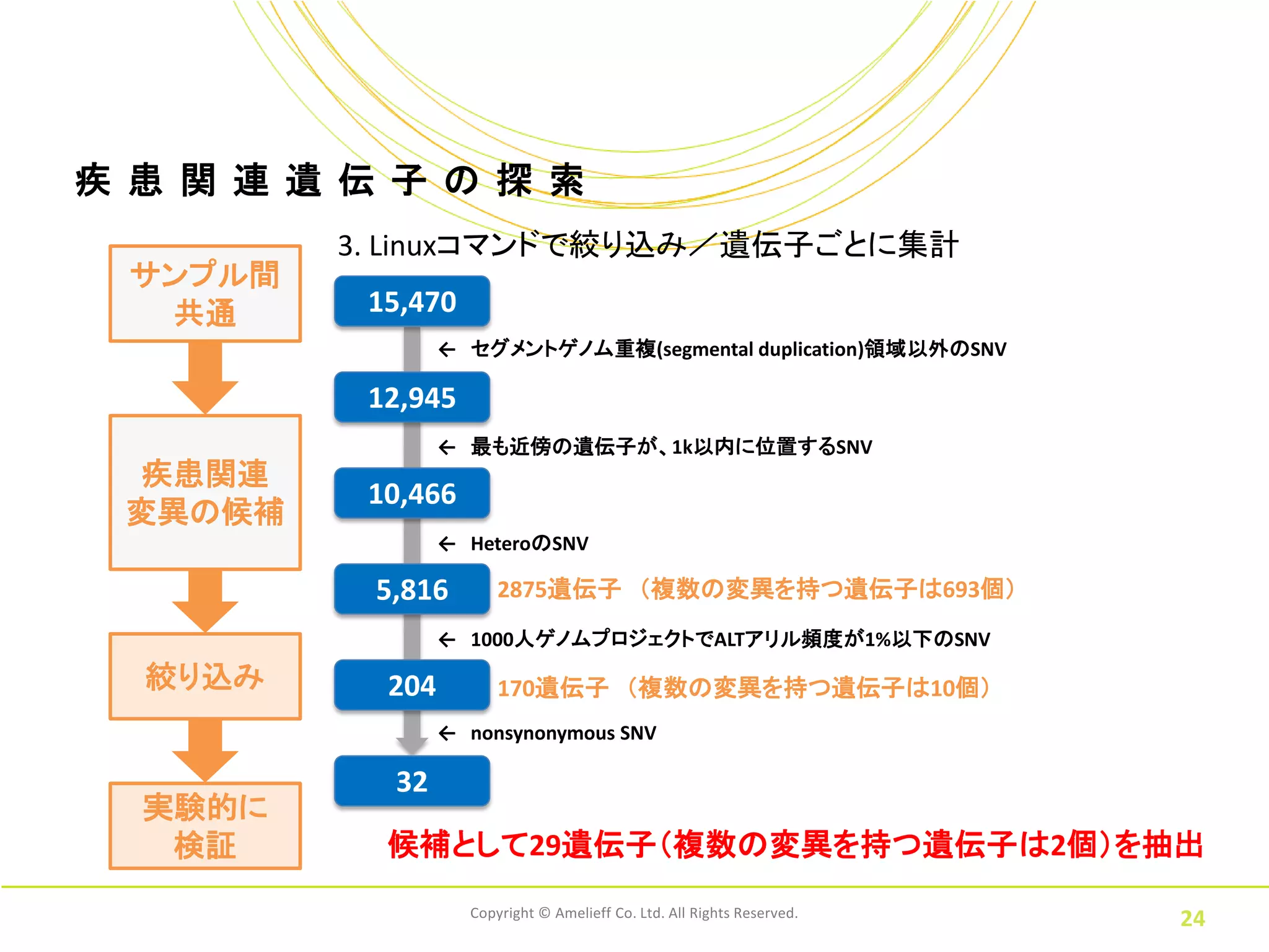 疾 患 関 連 遺 伝 子 の 探 索
          3. Linuxコマンドで絞り込み／遺伝子ごとに集計
  サンプル間
   共通      15,470
                  ← セグメントゲノム重複(segmental duplication)領域以外のSNV

           12,945
                  ← 最も近傍の遺伝子が、1k以内に位置するSNV
 疾患関連
           10,466
 変異の候補
                  ← HeteroのSNV

           5,816        2875遺伝子 （複数の変異を持つ遺伝子は693個）
                  ← 1000人ゲノムプロジェクトでALTアリル頻度が1%以下のSNV
  絞り込み      204         170遺伝子 （複数の変異を持つ遺伝子は10個）
                  ← nonsynonymous SNV

            32
  実験的に
   検証       候補として29遺伝子（複数の変異を持つ遺伝子は2個）を抽出
                    Copyright © Amelieff Co. Ltd. All Rights Reserved.
                                                                         24
 