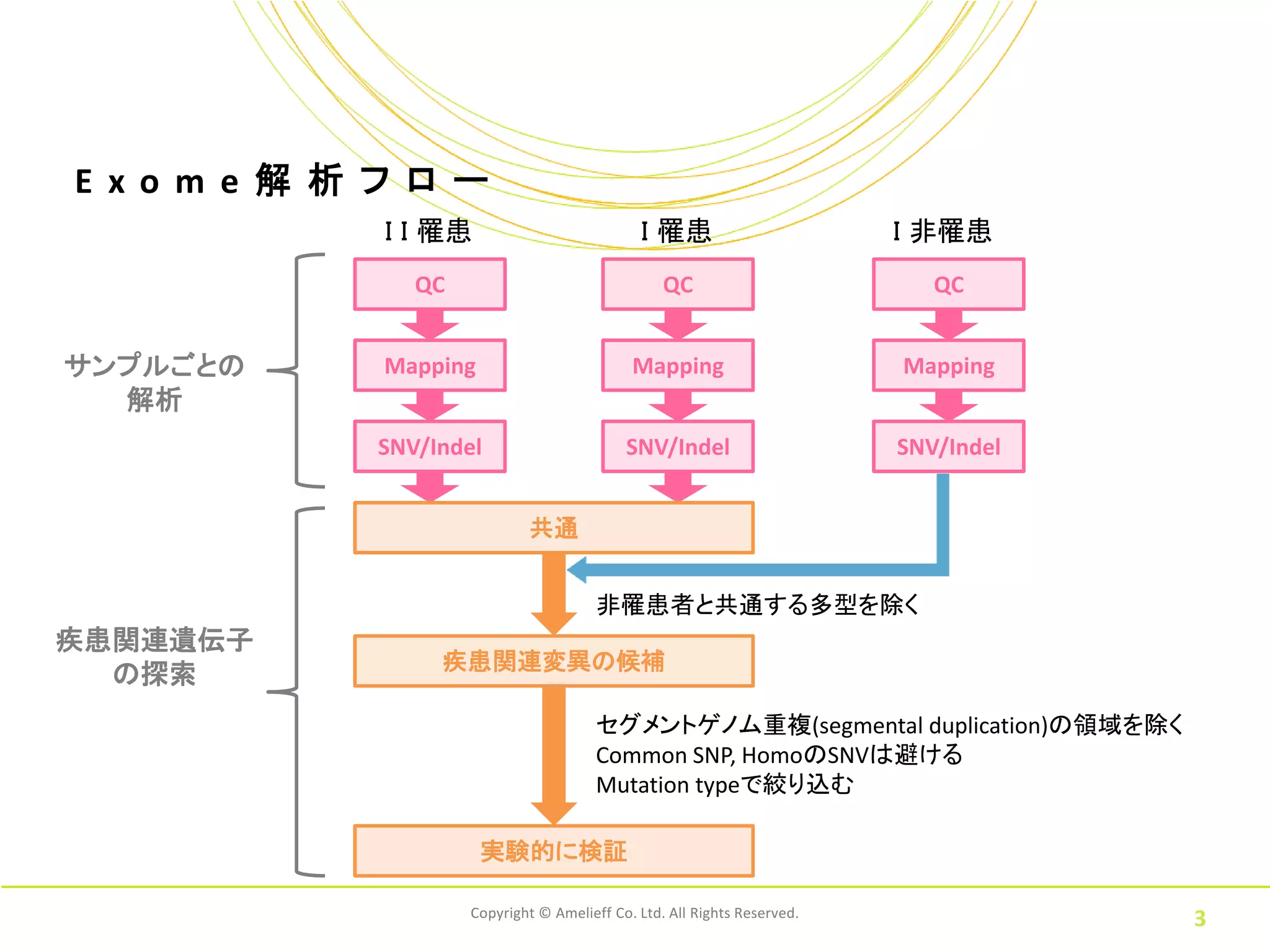 E xo m e 解 析 フ ロ ー
             I I 罹患                           I 罹患                        I 非罹患
                QC                                QC                         QC


サンプルごとの      Mapping                         Mapping                      Mapping
  解析
             SNV/Indel                      SNV/Indel                     SNV/Indel


                             共通


                                        非罹患者と共通する多型を除く
疾患関連遺伝子
                  疾患関連変異の候補
  の探索
                                        セグメントゲノム重複(segmental duplication)の領域を除く
                                        Common SNP, HomoのSNVは避ける
                                        Mutation typeで絞り込む

                       実験的に検証

                     Copyright © Amelieff Co. Ltd. All Rights Reserved.
                                                                                      3
 