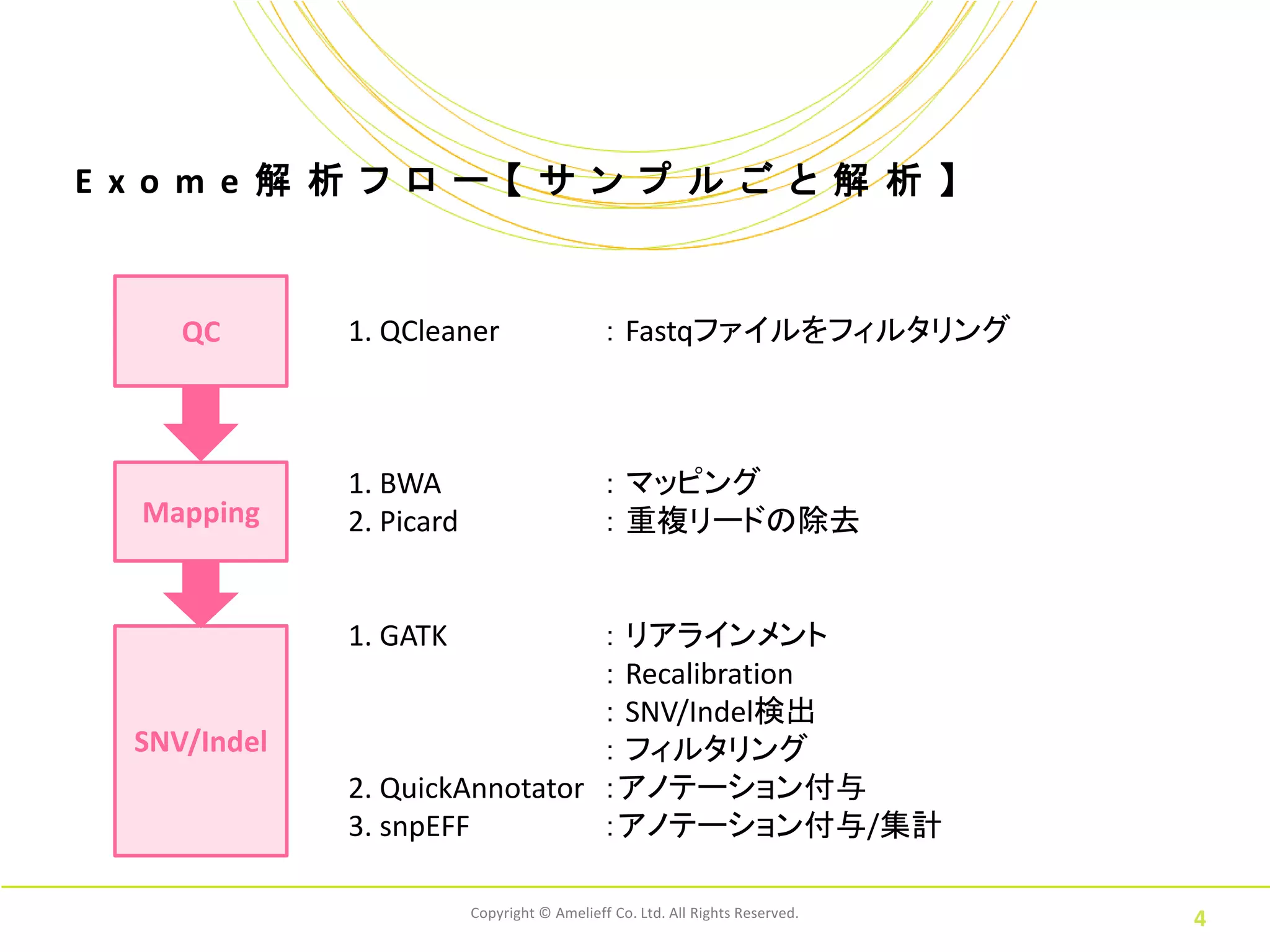 E xo m e 解 析 フ ロ ー 【 サ ン プ ル ご と 解 析 】



     QC       1. QCleaner                     ： Fastqファイルをフィルタリング



              1. BWA                          ： マッピング
  Mapping     2. Picard                       ： 重複リードの除去


              1. GATK           ： リアラインメント
                                ： Recalibration
                                ： SNV/Indel検出
  SNV/Indel                     ： フィルタリング
              2. QuickAnnotator ：アノテーション付与
              3. snpEFF         ：アノテーション付与/集計

                          Copyright © Amelieff Co. Ltd. All Rights Reserved.
                                                                               4
 