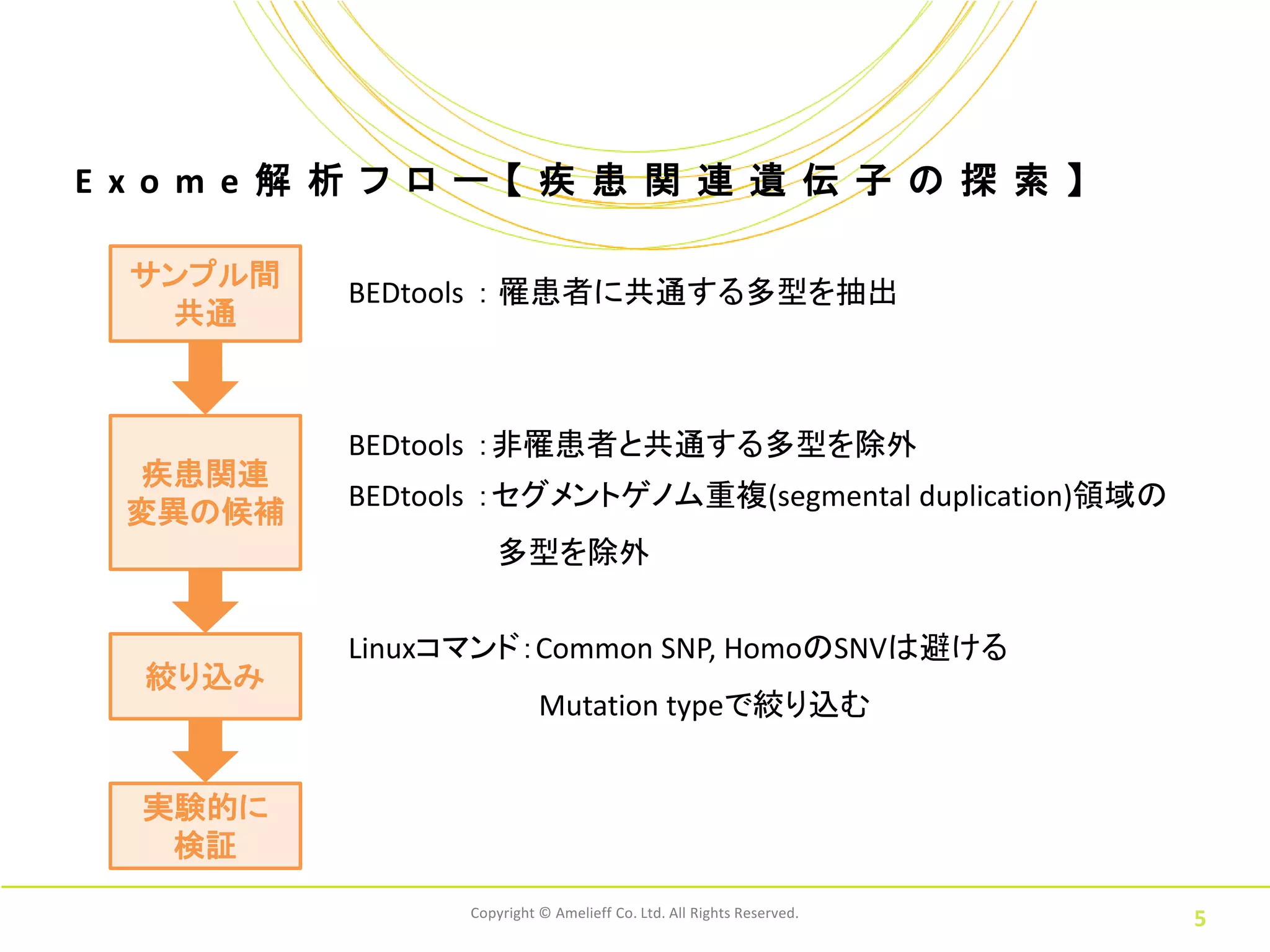 E xo m e 解 析 フ ロ ー 【 疾 患 関 連 遺 伝 子 の 探 索 】

  サンプル間
           BEDtools ： 罹患者に共通する多型を抽出
   共通



           BEDtools ：非罹患者と共通する多型を除外
  疾患関連
           BEDtools ：セグメントゲノム重複(segmental duplication)領域の
  変異の候補
                    多型を除外

           Linuxコマンド：Common SNP, HomoのSNVは避ける
  絞り込み
                           Mutation typeで絞り込む


  実験的に
   検証
                 Copyright © Amelieff Co. Ltd. All Rights Reserved.
                                                                      5
 