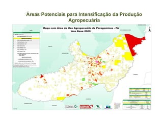 Áreas Potenciais para Intensificação da Produção
                 Agropecuária
 
