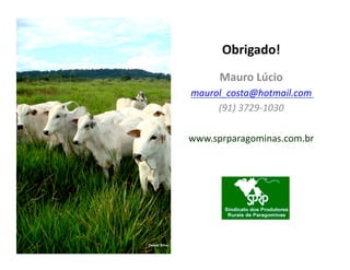 Obrigado!	
  
                      Mauro	
  Lúcio	
  
               maurol_costa@hotmail.com	
  
                    (91)	
  3729-­‐1030	
  

               www.sprparagominas.com.br	
  




Daniel Silva
 