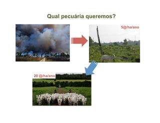 Qual pecuária queremos?
                                5@/ha/ano




20 @/ha/ano
 