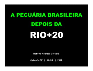 A PECUÁRIA BRASILEIRA
     DEPOIS DA

     RIO+20
       Roberto Andrade Grecellé


     #wbeef – SP | 11 JUL | 2012
 