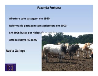 Fazenda	
  Fortuna	
  


	
  	
  	
  	
  	
  Abertura	
  com	
  pastagem	
  em	
  1980;	
  

	
  	
  	
  	
  	
  Reforma	
  de	
  pastagem	
  com	
  agricultura	
  em	
  2003;	
  

	
  	
  	
  	
  	
  Em	
  2006	
  busca	
  por	
  nichos	
  de	
  mercado:	
  

	
  	
  	
  	
  	
  Arroba	
  estava	
  R$	
  38,00	
  


Rubia	
  Gallega	
  
 