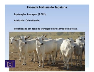 Fazenda	
  Fortuna	
  do	
  Tapaíuna	
  

	
     Exploração:	
  Pastagem	
  (2.002);	
  

	
     ARvidade:	
  Cria	
  e	
  Recria;	
  


	
                                                                                      	
  
       Propriedade	
  em	
  zona	
  de	
  transição	
  entre	
  Serrado	
  e	
  Floresta.
 