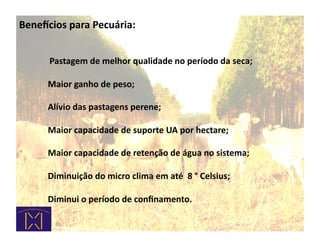 Beneicios	
  para	
  Pecuária:	
  


	
  	
  	
  	
  	
  	
  	
  	
  	
  	
  	
  	
  	
  	
  Pastagem	
  de	
  melhor	
  qualidade	
  no	
  período	
  da	
  seca;	
  

	
             Maior	
  ganho	
  de	
  peso;	
  

	
             Alívio	
  das	
  pastagens	
  perene;	
  

	
             Maior	
  capacidade	
  de	
  suporte	
  UA	
  por	
  hectare;	
  

	
             Maior	
  capacidade	
  de	
  retenção	
  de	
  água	
  no	
  sistema;	
  

	
             Diminuição	
  do	
  micro	
  clima	
  em	
  até	
  	
  8	
  °	
  Celsius;	
  

	
             Diminui	
  o	
  período	
  de	
  conﬁnamento.	
  
 