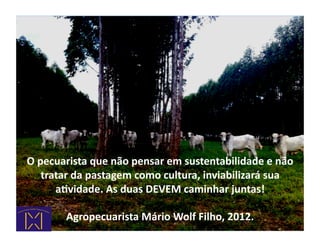 O	
  pecuarista	
  que	
  não	
  pensar	
  em	
  sustentabilidade	
  e	
  não	
  
      tratar	
  da	
  pastagem	
  como	
  cultura,	
  inviabilizará	
  sua	
  
         aRvidade.	
  As	
  duas	
  DEVEM	
  caminhar	
  juntas!	
  	
  

           Agropecuarista	
  Mário	
  Wolf	
  Filho,	
  2012.	
  
 