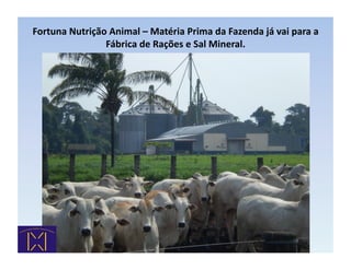 Fortuna	
  Nutrição	
  Animal	
  –	
  Matéria	
  Prima	
  da	
  Fazenda	
  já	
  vai	
  para	
  a	
  
                   Fábrica	
  de	
  Rações	
  e	
  Sal	
  Mineral.        	
  
 