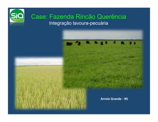 Case: Fazenda Rincão Querência
     Integração lavoura-pecuária




                            Arroio	
  Grande	
  -­‐	
  RS	
  
 