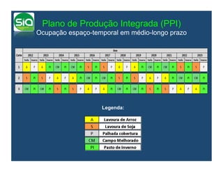 Plano de Produção Integrada (PPI)
Ocupação espaço-temporal em médio-longo prazo




                   Legenda:
 