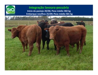 Integração	
  lavoura-­‐pecuária	
  
         Início	
  do	
  pastejo	
  20/06;	
  Peso	
  médio	
  382	
  kg	
  
	
  	
  Embarque	
  novilhos	
  25/09;	
  Peso	
  médio	
  501	
  kg	
  	
  
 