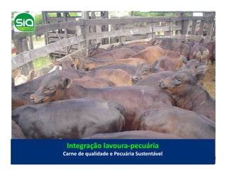 Integração	
  lavoura-­‐pecuária	
  
Carne	
  de	
  qualidade	
  e	
  Pecuária	
  Sustentável	
  
 