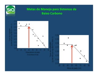 Metas	
  de	
  Manejo	
  para	
  Sistemas	
  de	
  
                                               	
  
               Baixo	
  Carbono   	
  
 