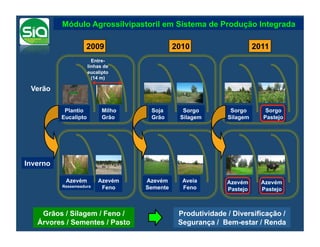 Módulo Agrossilvipastoril em Sistema de Produção Integrada

                    2009                      2010                     2011
                        Entre-
                      linhas de
                      eucalipto
                        (14 m)

 Verão

           Plantio          Milho    Soja       Sorgo         Sorgo       Sorgo
          Eucalipto         Grão     Grão      Silagem       Silagem     Pastejo




Inverno

           Azevém         Azevém    Azevém      Aveia        Azevém      Azevém
          Ressemeadura     Feno     Semente     Feno         Pastejo     Pastejo



    Grãos / Silagem / Feno /                   Produtividade / Diversificação /
   Árvores / Sementes / Pasto                  Segurança / Bem-estar / Renda
 