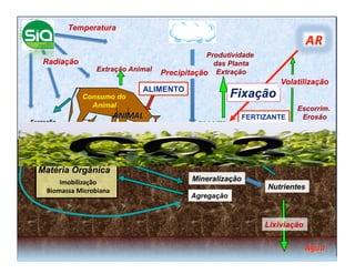 Temperatura


                                                              Produtividade
     Radiação                                                   das Planta
                          Extração Animal
                                                  Precipitação Extração
                                                                                     Volatilização
                                       ALIMENTO
                     Consumo do                                       Fixação
                       Animal                                                            Escorrim.
                                                                          FERTIZANTE      Erosão
Excreção	
  


                                    Résiduo	
  
                                                                          Absorção
   Matéria Orgânica
           Imobilização	
                                 Mineralização
       Biomassa	
  Microbiana	
  
                                                                               Nutrientes
                                                          Agregação



                                                                               Lixiviação
 