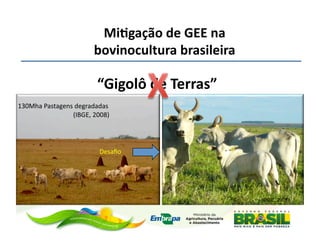Mi;gação	
  de	
  GEE	
  na	
  
                                                                                                                              bovinocultura	
  brasileira	
  	
  

                                                                                                                                    “Gigolô	
  de	
  Terras”	
  
130Mha	
  Pastagens	
  degradadas	
  
	
  	
  	
  	
  	
  	
  	
  	
  	
  	
  	
  	
  	
  	
  	
  	
  	
  	
  	
  	
  	
  	
  	
  	
  	
  	
  	
  	
  	
  	
  	
  	
  	
  	
  (IBGE,	
  2008)	
  




                                                                                                                                       Desaﬁo	
  




                                                                                                                                                                    (IBGE, 2008)
 