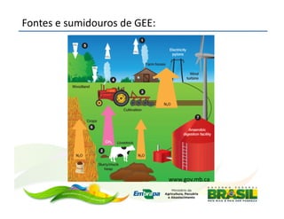 Fontes	
  e	
  sumidouros	
  de	
  GEE:	
  




                                              www.gov.mb.ca	
  
 