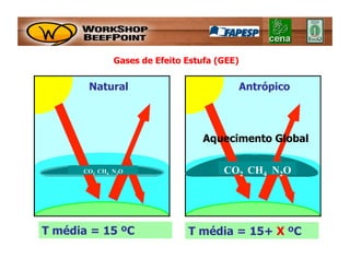Gases de Efeito Estufa (GEE)


       Natural                               Antrópico



                                 Aquecimento Global

      CO2 CH4 N2O                     CO2 CH4 N2O




T média = 15 ºC               T média = 15+ X ºC
 