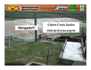 Ciniro Costa Junior
Obrigado!!!
              cinirojr@cena.usp.br
 