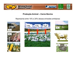 Produção Animal – Carne Bovina

      Representa entre 15% e 24% dessas emissões antrópicas



                   CH4       CO2       N 2O
                                                      CO2
CO2


CO2
                                                              CH4




      N 2O
                                                       N 2O         CH4
 