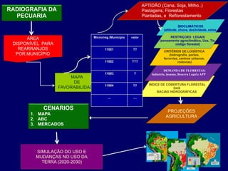 APTIDÄO (Cana, Soja, Milho..)
RADIOGRAFIA DA                                                   Pastagens, Florestas
  PECUARIA                                                       Plantadas, e Reflorestamento
                                                                                                   
                                                                                        BIOCLIMÁTICOS 
                                                                             (altitude, chuva, declividade, solos, 
                                                                                               
                                  Microrreg./Município   valor                  RESTRIÇOES LEGAIS 
      ÁREA 
                                                              (zoneamento agroclimático, Ucs, Tis, 
 DISPONÍVEL PARA 
                                                                código florestal)
   REARRANJOS 
                          11001            ??
                                                                                           
                                                                             CRITÉRIOS DE LOGÍSTICA
  POR MUNICÍPIO                                                                  (hidrografia, portos, 
                                                                             ferrovias, centros urbanos,
                                         11002           ???                           rodovias)

                                                                              DEMANDA DE FLORESTAS:
                                         11003            ?          Indústria, insumo, Reserva Legal e APP
                         MAPA
                          DE                                                          
                                         11004            ??        INDICE DE COBERTURA FLORESTAL 
                     FAVORABILIDADE                                               DAS
                                                                         BACIAS HIDROGRÁFICAS
                                           ...            ....


             CENARIOS
                                                         PROJEÇÕES
        1. MAPA
                                                                              AGRICULTURA
        2. ABC
        3. MERCADOS




          SIMULAÇÃO DO USO E 
          MUDANÇAS NO USO DA
            TERRA (2020-2030)
 