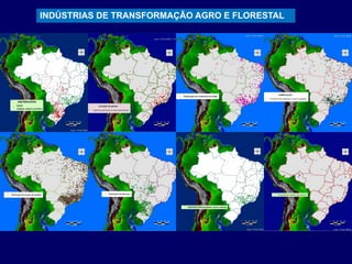 INDÚSTRIAS DE TRANSFORMAÇÃO AGRO E FLORESTAL
 