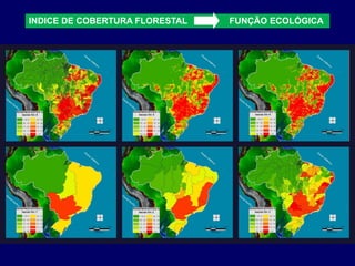 INDICE DE COBERTURA FLORESTAL   FUNÇÃO ECOLÓGICA
 