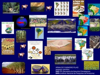 ARNALDO CARNEIRO FILHO
assessor científico
SAE-PR (Secretaria de Assuntos Estratégicos)
INPA (Instituto Nacional de Pesquisas da Amazonia)
 