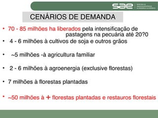 CENÁRIOS DE DEMANDA
• 70 - 85 milhões ha liberados pela intensificação de
  
 
       
     
      pastagens na pecuária até 20?0
• 4 - 6 milhões à cultivos de soja e outros grãos

•   ~5 milhões -à agricultura familiar

• 2 - 6 milhões à agroenergia (exclusive florestas)

• 7 milhões à florestas plantadas


• ~50 milhões à + florestas plantadas e restauros florestais
 