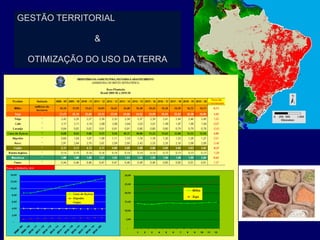 GESTÃO TERRITORIAL

                &

    OTIMIZAÇÃO DO USO DA TERRA
 