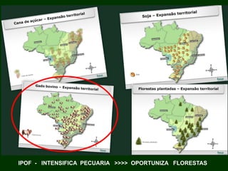 IPOF - INTENSIFICA PECUARIA >>>> OPORTUNIZA FLORESTAS
 