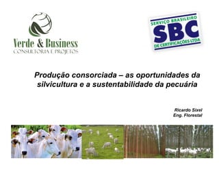Produção consorciada – as oportunidades da
 silvicultura e a sustentabilidade da pecuária


                                      Ricardo Sixel
                                      Eng. Florestal
 