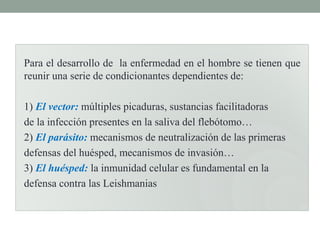 Para el desarrollo de la enfermedad en el hombre se tienen que
reunir una serie de condicionantes dependientes de:

1) El vector: múltiples picaduras, sustancias facilitadoras
de la infección presentes en la saliva del flebótomo…
2) El parásito: mecanismos de neutralización de las primeras
defensas del huésped, mecanismos de invasión…
3) El huésped: la inmunidad celular es fundamental en la
defensa contra las Leishmanias
 