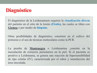 Diagnóstico
• El diagnóstico de la Leishmaniasis requiere la visualización directa
 del parásito en el sitio de la lesión (Frotis), las cuales se tiñen con
 Giemsa o por medio de biopsias.

• Otras posibilidades de diagnóstico, consisten en el cultivo del
 protozoo o el uso de técnicas moleculares como la PCR.

• La  prueba de Montenegro o Leishmanina ,consiste en la
 inoculación de extractos parasitarios en la piel. Si el paciente es
 positivo a Leishmania, se genera una reacción de hipersensibilidad
 de tipo celular (IV), caracterizada por el rubor y tumefacción del
 área inoculada.
 