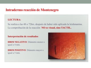 Intradermo reacción de Montenegro

 LECTURA:
 Se realiza a las 48 o 72hrs. después de haber sido aplicada la leishmanina.
 La comprobación de la reacción NO es visual, sino TACTIL.


 Interpretación de resultados

 IDRM NEGATIVO: Diámetro menor o
 igual a 4 mm.

 IDRM POSITIVO: Diámetro mayor o
 igual a 5 mm.
 