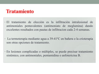 Tratamiento
• El tratamiento de elección es la infiltración intralesional de
 antimoniales pentavalentes (antimoniato de meglumina) dando
 excelentes resultados con pautas de infiltracion cada 2-4 semanas.

• La termoterapia mediante agua a 39-41ºC en bañera o la crioterapia
 son otras opciones de tratamiento.

• En lesiones complicadas o múltiples, se puede precisar tratamiento
 sistémico, con antimoniales, pentamidina o anfotericina B.
 