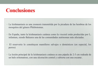 Conclusiones

• La leishmaniasis es una zoonosis transmitida por la picadura de las hembras de los
 mosquitos del género Phlebotomus.

• En España, tanto la leishmaniasis cutánea como la visceral están producidas por L.
 infantum, siendo Baleares una de las comunidades autónomas más afectadas.

• El reservorio lo constituyen mamíferos salvajes o domésticos (en especial, los
 perros)

• La lesión principal de la leishmaniasis cutánea es una pápula de 2-3 cm rodeada de
 un halo eritematoso, con una ulceración central y cubierta con una escama .
 