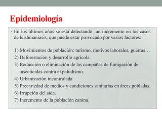 Epidemiología
• En los últimos años se está detectando un incremento en los casos
 de leishmaniasis, que puede estar provocado por varios factores:

 1) Movimientos de población: turismo, motivos laborales, guerras…
 2) Deforestación y desarrollo agrícola.
 3) Reducción o eliminación de las campañas de fumigación de
    insecticidas contra el paludismo.
 4) Urbanización incontrolada.
 5) Precariedad de medios y condiciones sanitarias en áreas pobladas.
 6) Irrupción del sida.
 7) Incremento de la población canina.
 