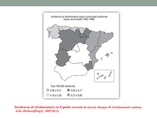 Incidencia de leishmaniasis en España (extraído de García Almagro D. Leishmaniasis cutánea.
Actas Dermosifiliogrf. 2005;96:2).
 