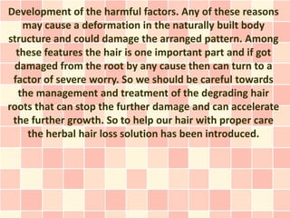 Development of the harmful factors. Any of these reasons
    may cause a deformation in the naturally built body
structure and could damage the arranged pattern. Among
  these features the hair is one important part and if got
 damaged from the root by any cause then can turn to a
 factor of severe worry. So we should be careful towards
   the management and treatment of the degrading hair
roots that can stop the further damage and can accelerate
 the further growth. So to help our hair with proper care
     the herbal hair loss solution has been introduced.
 