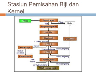 Stasiun Pemisahan Biji dan
Kernel
 