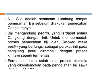  Nut Silo adalah semacam Lumbung tempat
pemeraman Biji sebelum dilakukan pemecahan
Cangkangnya.
 Biji mengandung pectin, yang terdapat antara
Cangkang dengan Inti. Untuk mempermudah
proses pemecahan biji oleh Cracker, maka
pectin yang berfungsi sebagai perekat inti pada
cangkang perlu dirombak dengan proses
kimiawi seperti fermentasi.
 Fermentasi ialah salah satu proses biokimia
yang dikembangkan pada pengolahan biji sawit
 