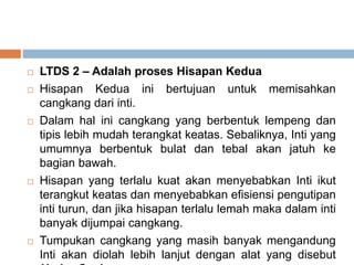  LTDS 2 – Adalah proses Hisapan Kedua
 Hisapan Kedua ini bertujuan untuk memisahkan
cangkang dari inti.
 Dalam hal ini cangkang yang berbentuk lempeng dan
tipis lebih mudah terangkat keatas. Sebaliknya, Inti yang
umumnya berbentuk bulat dan tebal akan jatuh ke
bagian bawah.
 Hisapan yang terlalu kuat akan menyebabkan Inti ikut
terangkut keatas dan menyebabkan efisiensi pengutipan
inti turun, dan jika hisapan terlalu lemah maka dalam inti
banyak dijumpai cangkang.
 Tumpukan cangkang yang masih banyak mengandung
Inti akan diolah lebih lanjut dengan alat yang disebut
 