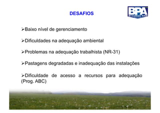 DESAFIOS


  aixo nível de gerenciamento
 B

  ificuldades na adequação ambiental
 D

  roblemas na adequação trabalhista (NR-31)
 P

  astagens degradadas e inadequação das instalações
 P

  ificuldade de acesso a recursos para adequação
  D
(Prog. ABC)
 